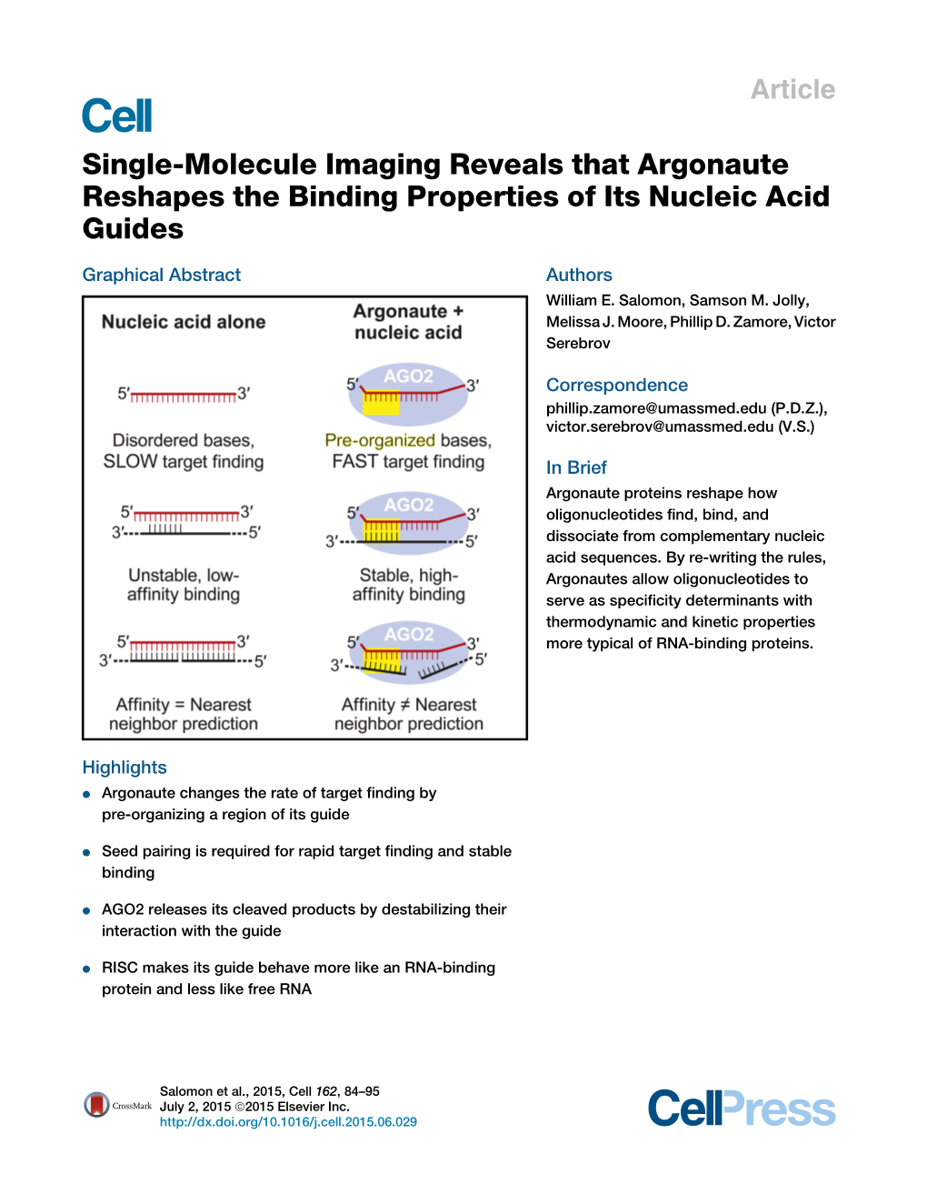 Single-Molecule Imaging Reveals That Argonaute Reshapes the Binding Properties of Its Nucleic Acid Guides