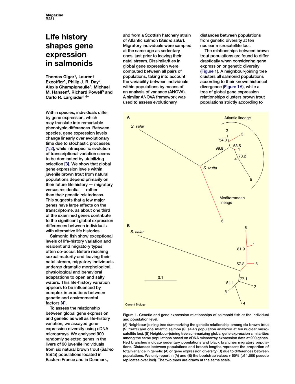 Life History Shapes Gene Expression in Salmonids