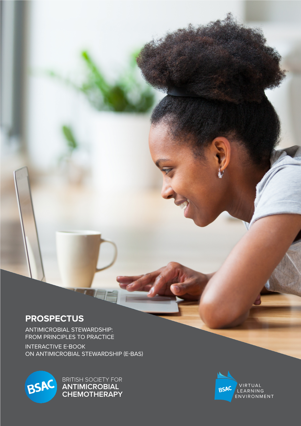 Prospectus Antimicrobial Stewardship: from Principles to Practice Virtual Learning Environment Interactive E-Book on Antimicrobial Stewardship (E-Bas)