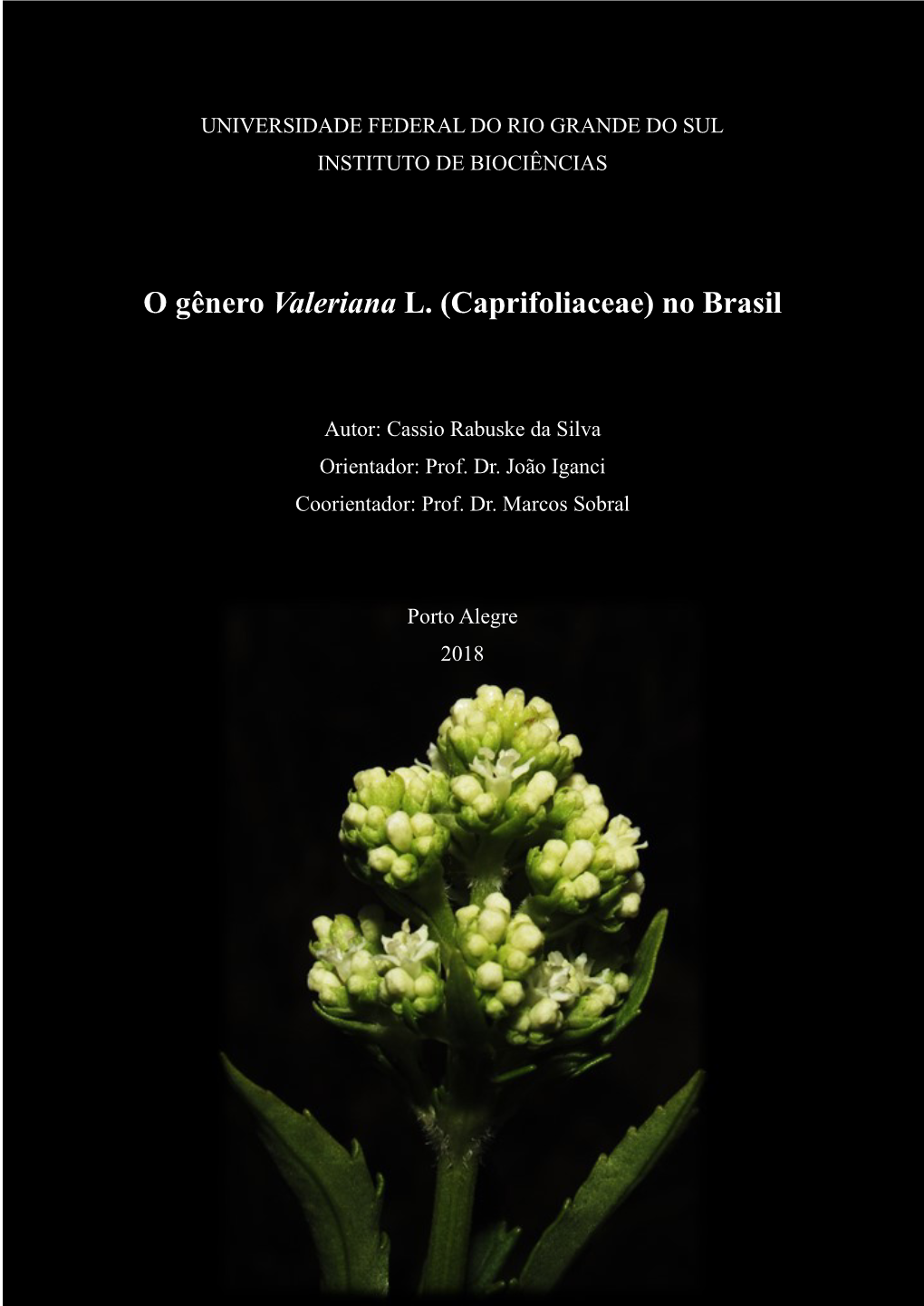 O Gênero Valeriana L. (Caprifoliaceae) No Brasil