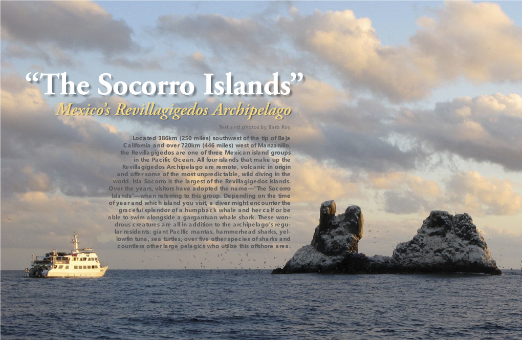 The Socorro Islands