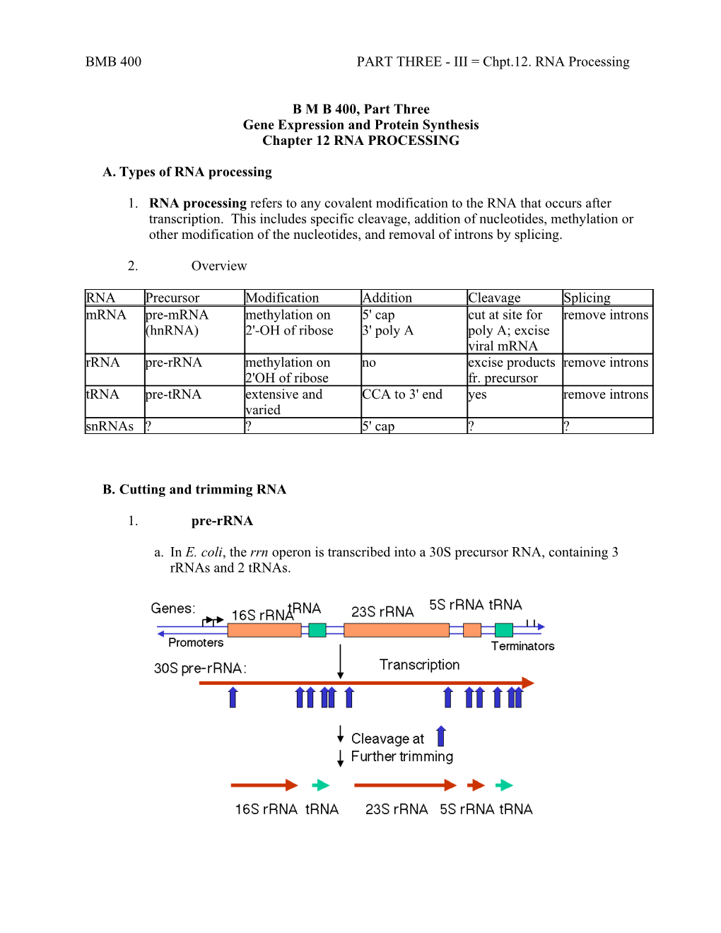 Part Three: Gene Expression and Protein Synthesis