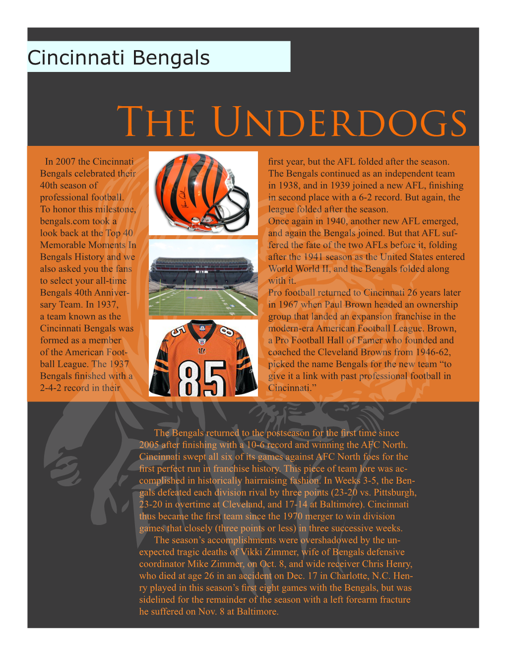 The Underdogs