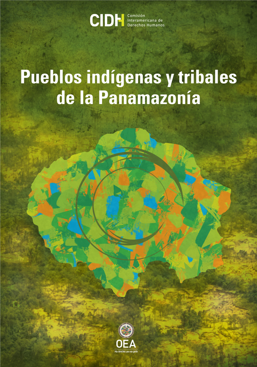 Situación De Los Derechos Humanos De Los Pueblos Indígenas Y Tribales De La Panamazonía