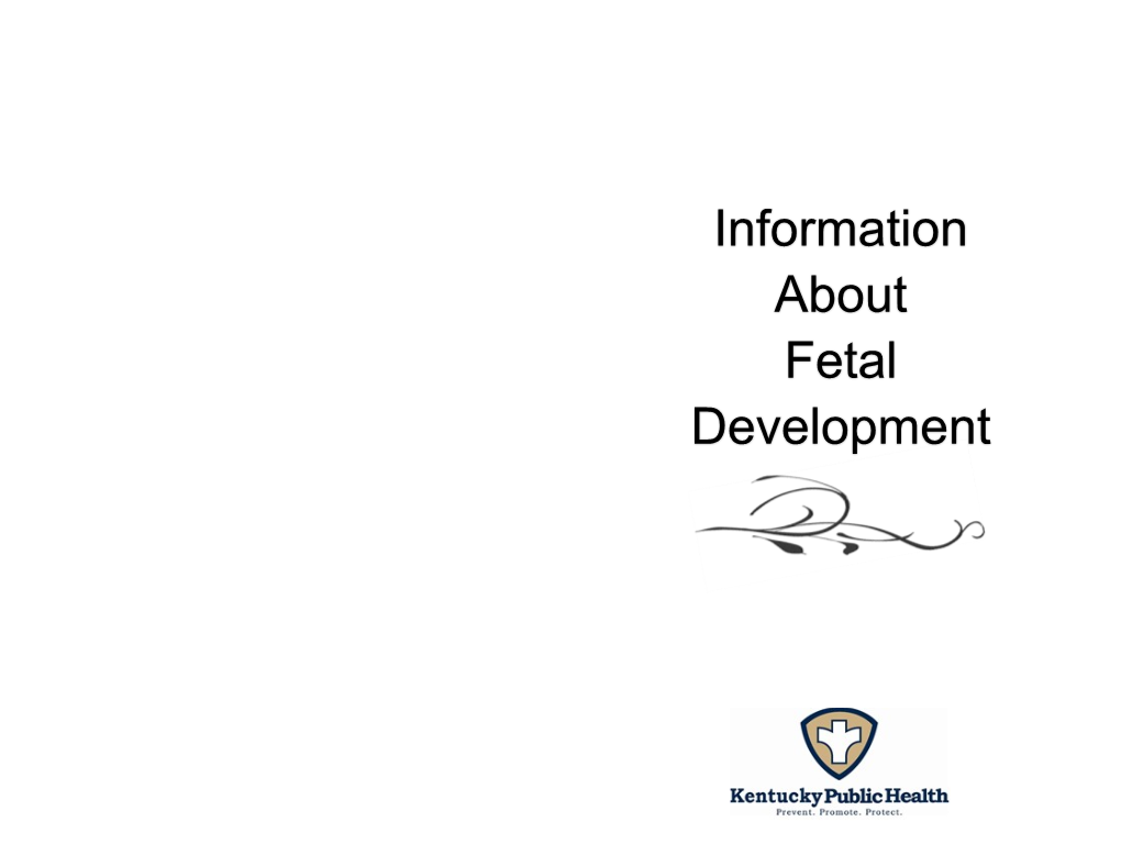 Information About Fetal Development