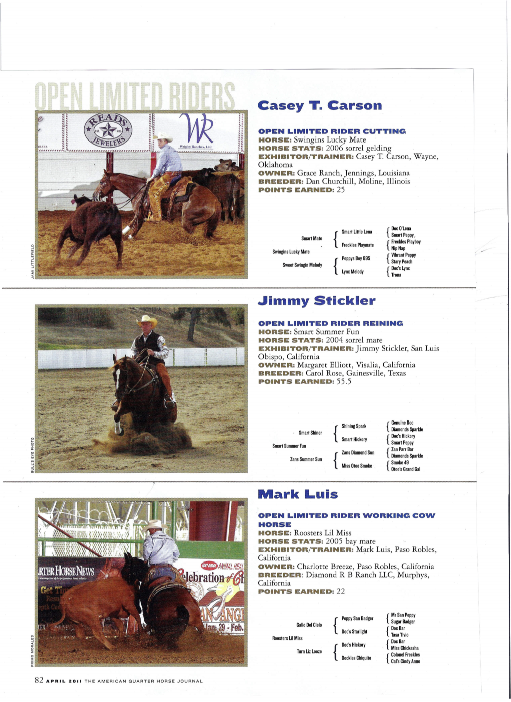 American Quarter Horse Journal