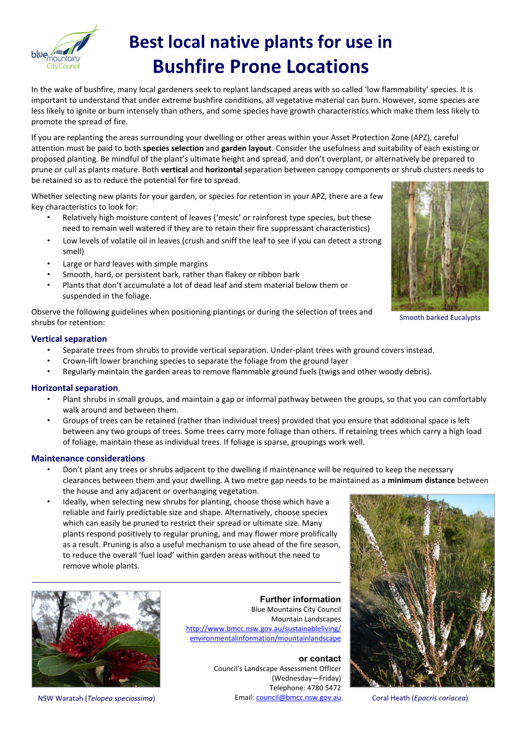 Best Local Native Plants for Use in Bushfire Prone Locations