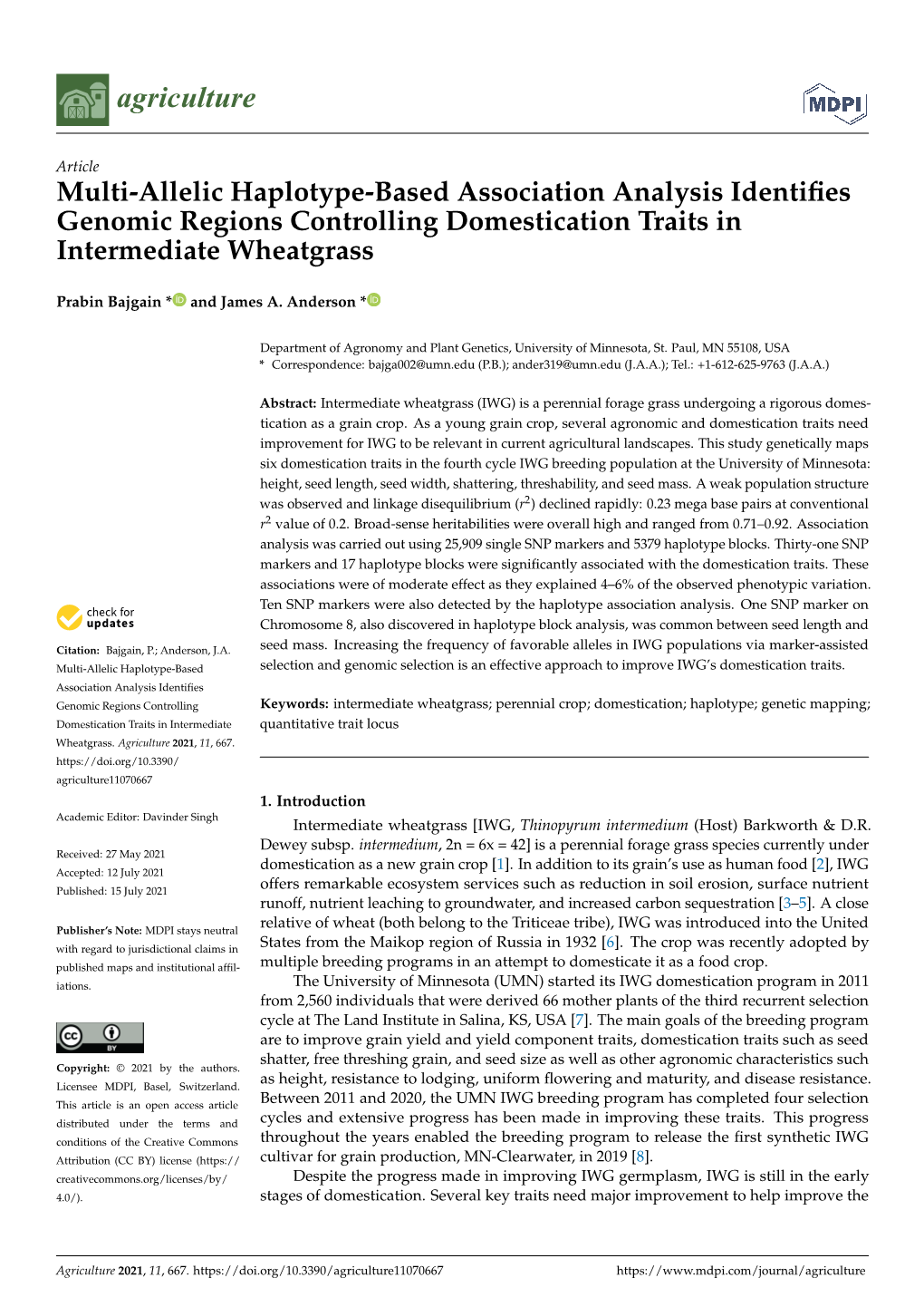 Multi-Allelic Haplotype-Based Association Analysis Identifies