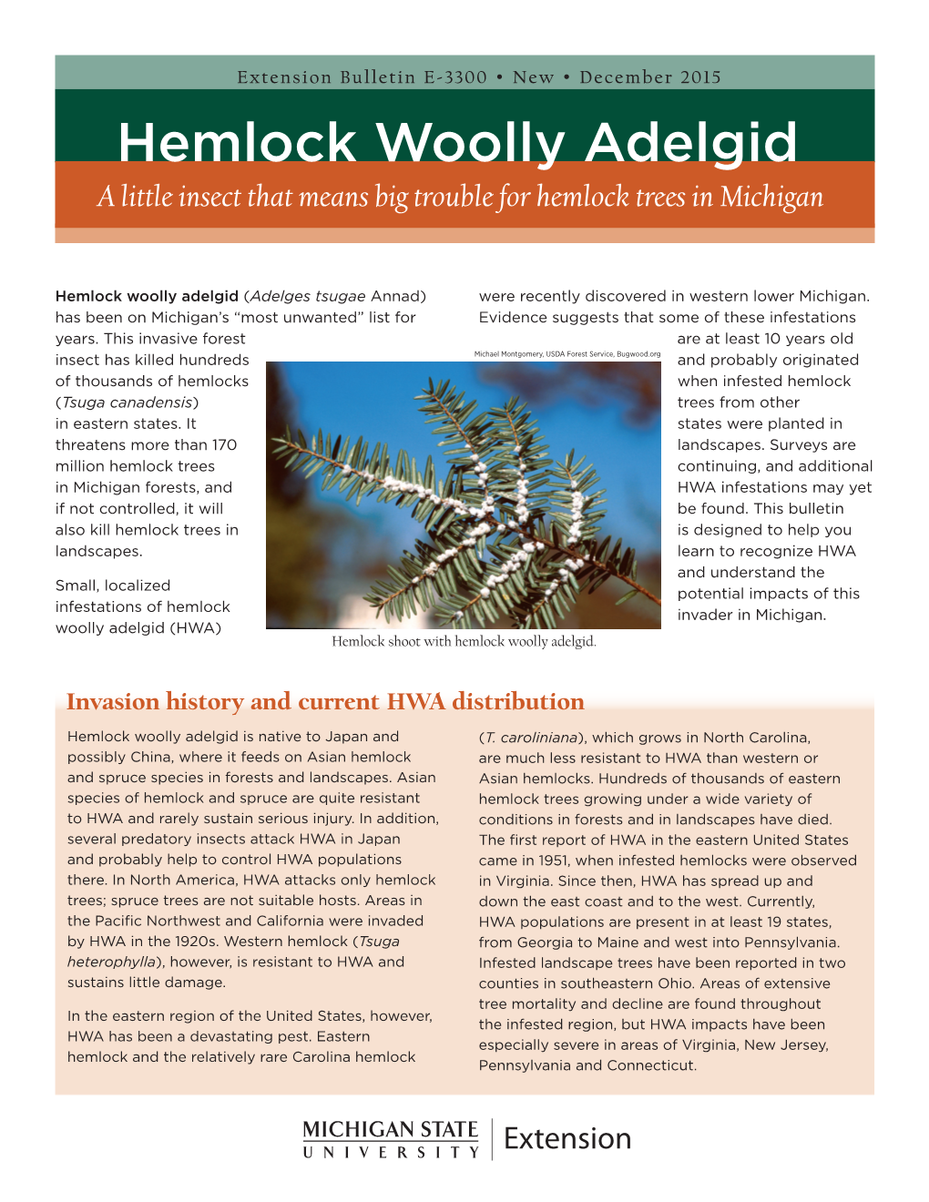 Hemlock Woolly Adelgid. a Little Insect That Means Big Trouble for Hemlock Trees in Michigan