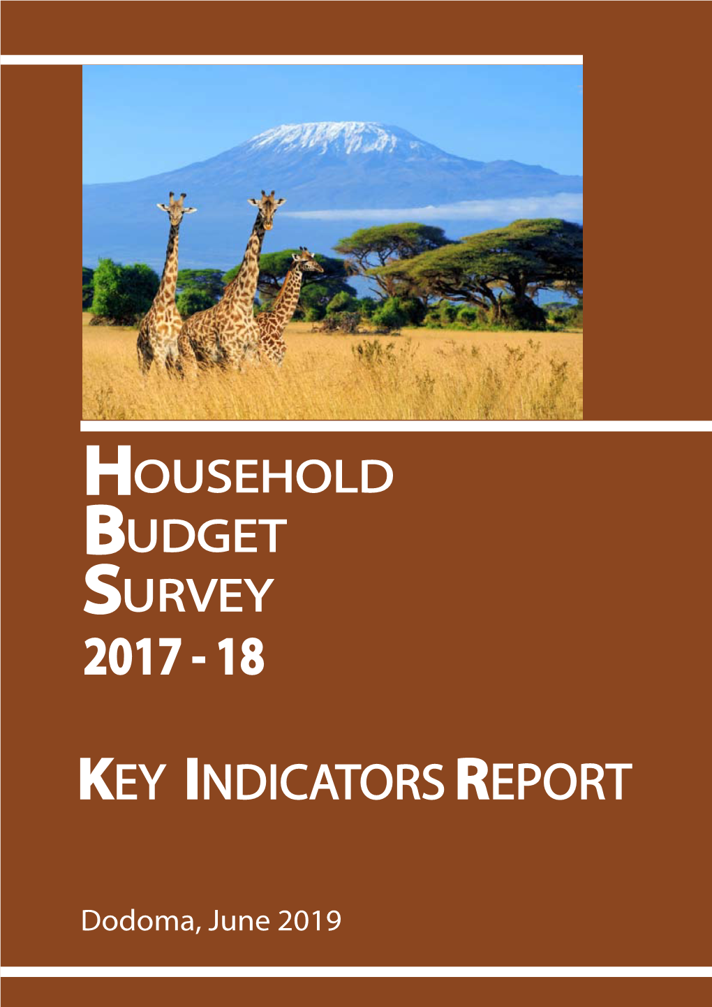 Key Indicators Report