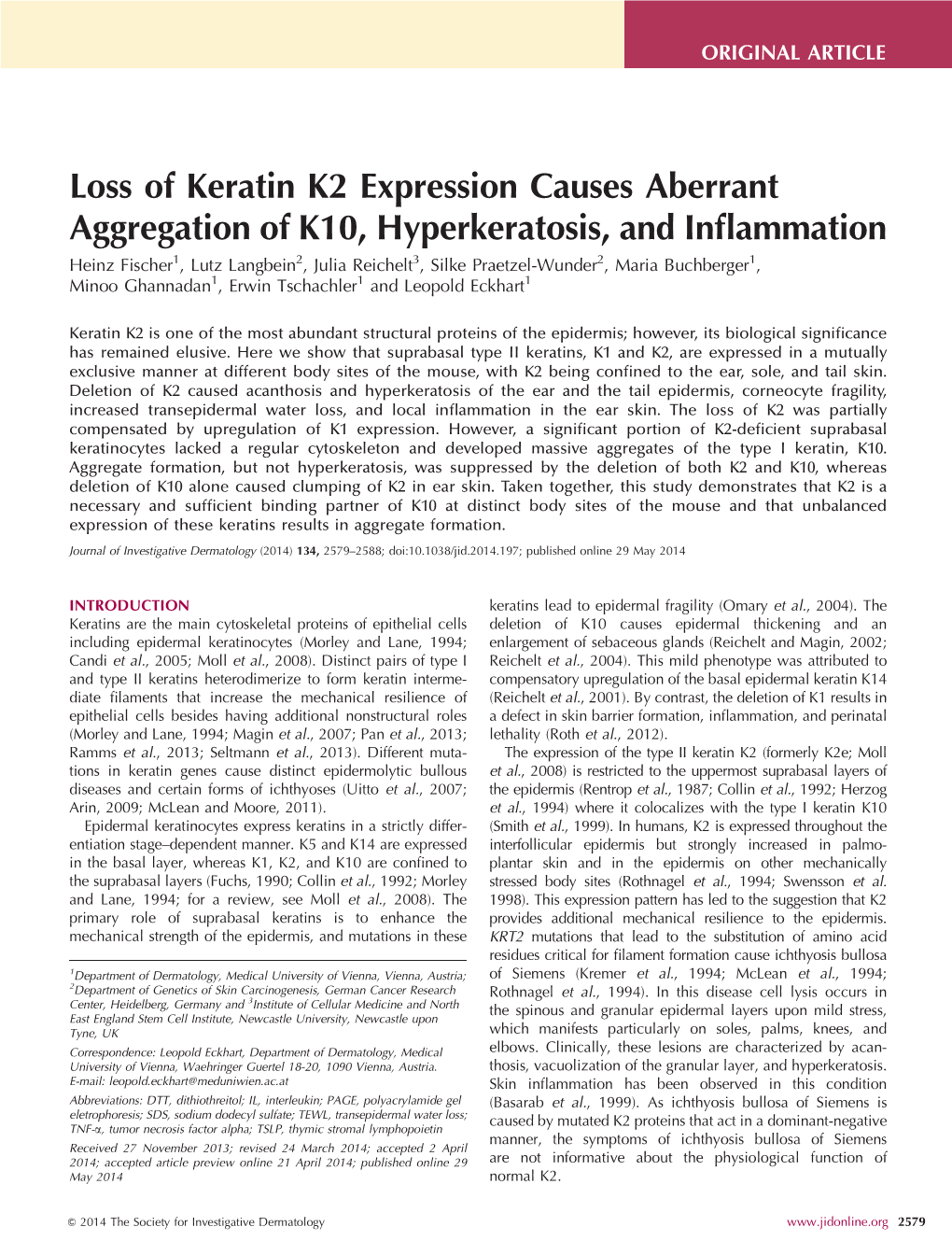 Loss of Keratin K2 Expression Causes Aberrant Aggregation of K10, Hyperkeratosis, and Inflammation