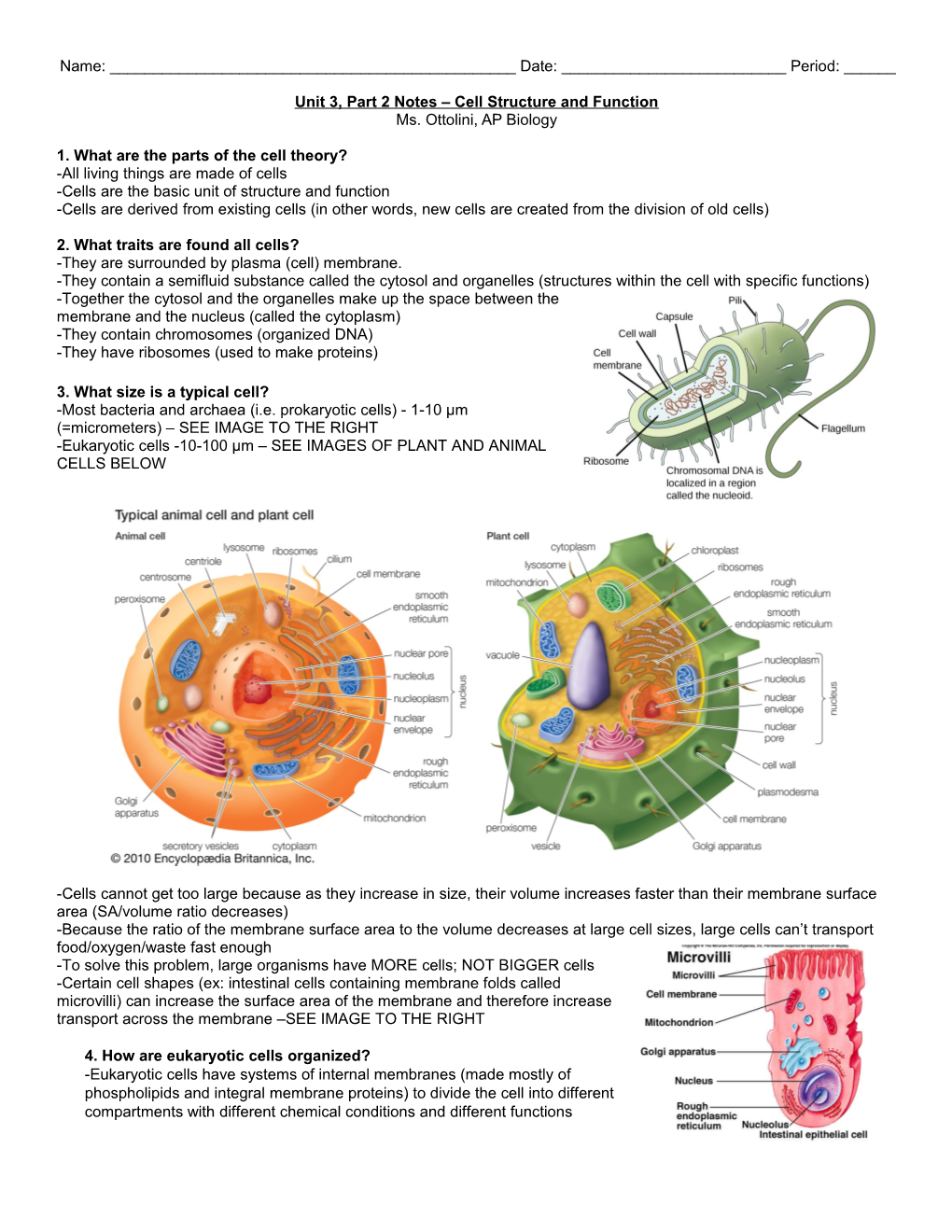 Chapter 6- Cell Structure and Function