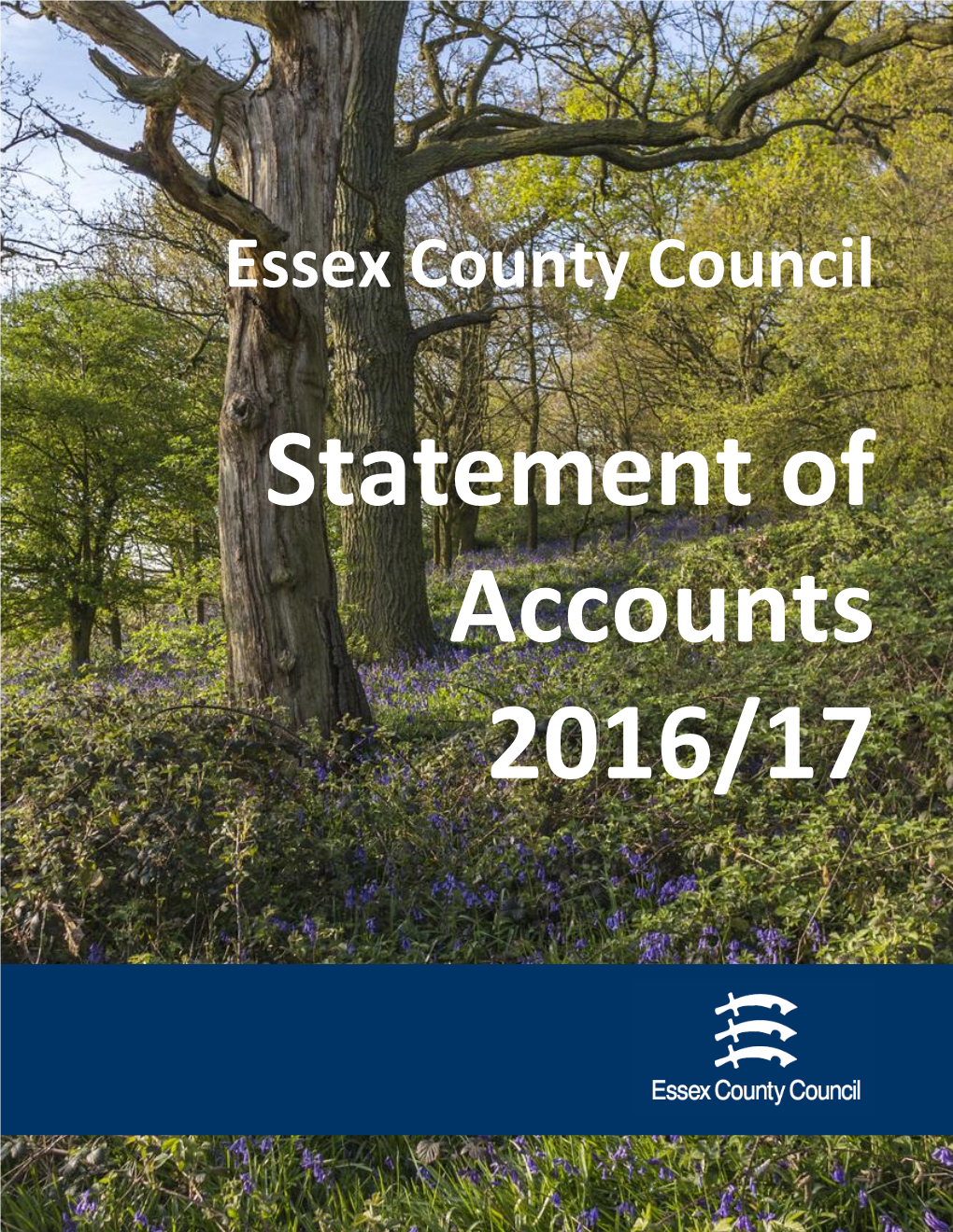 Statement of Accounts 2016/17