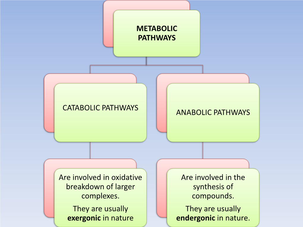 Glycolysis Pathway, Energetics and Significance