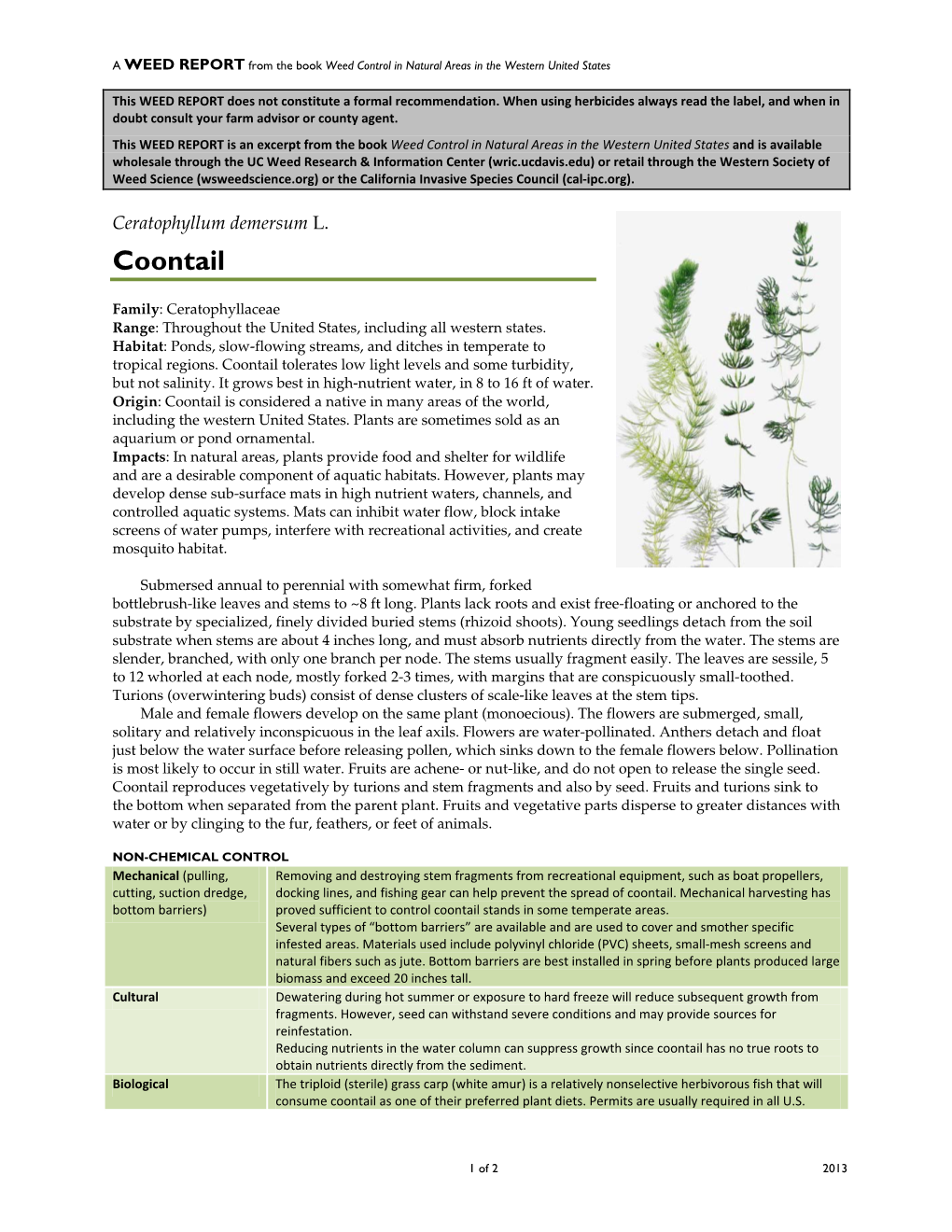 Ceratophyllum Demersum L