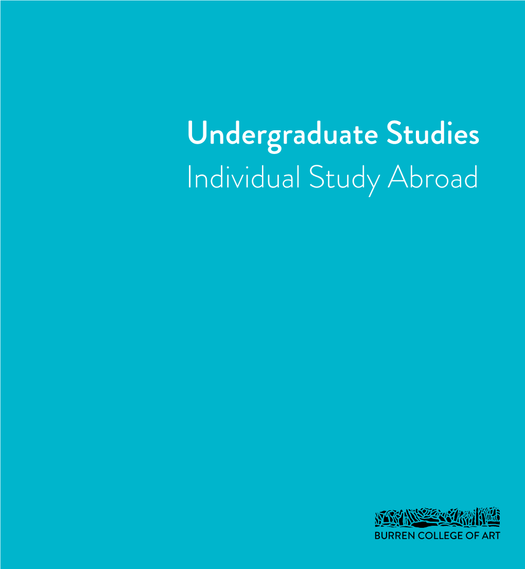 Undergraduate Studies Individual Study Abroad