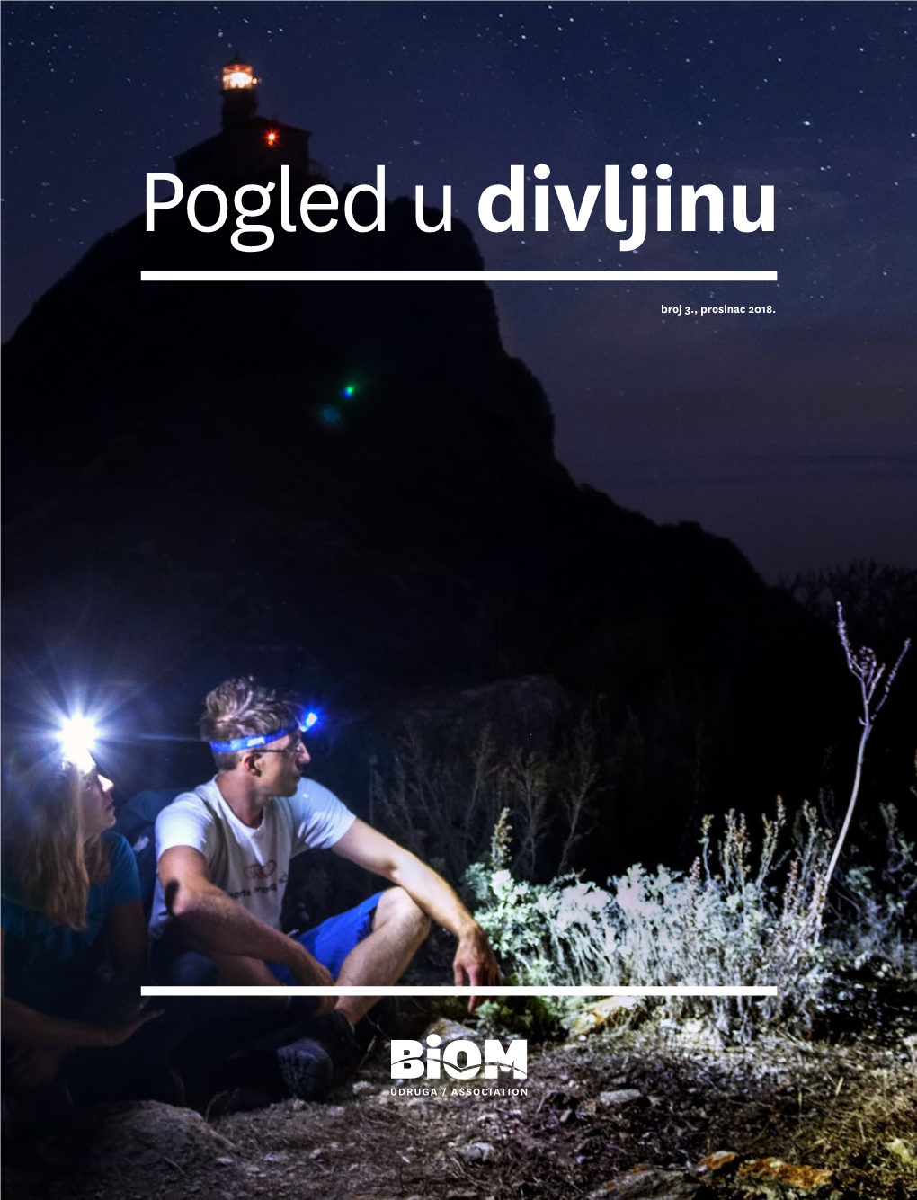 Pogled Udivljinu