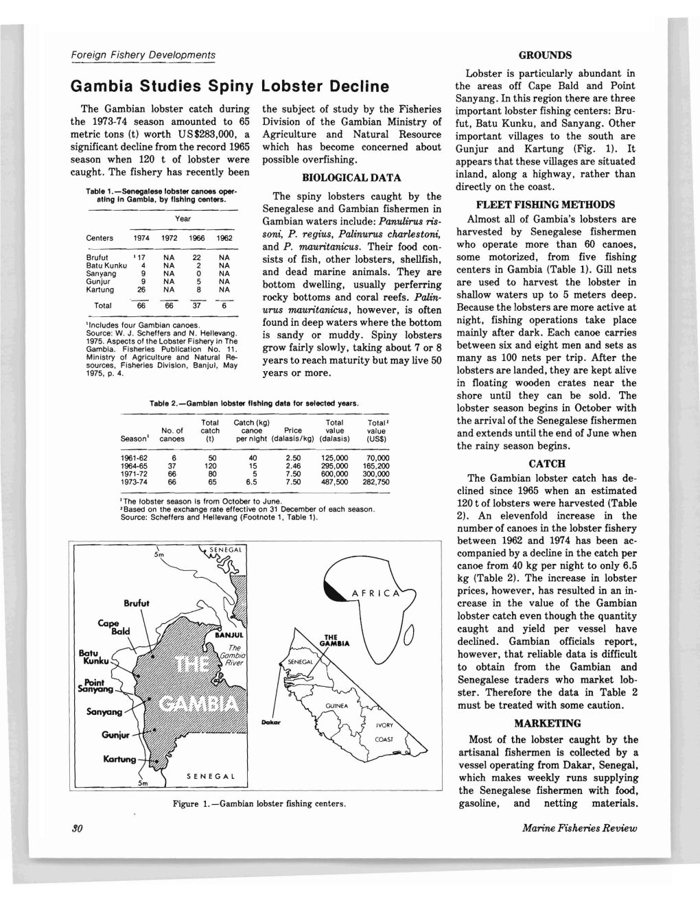 Gambia Studies Spiny Lobster Decline the Areas Off Cape Bald and Point Sanyang