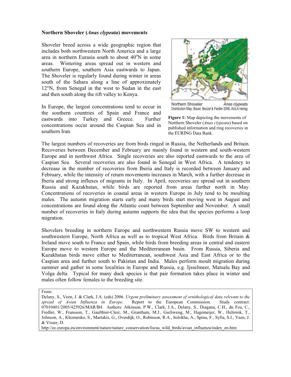 Northern Shoveler (Anas Clypeata) Movements