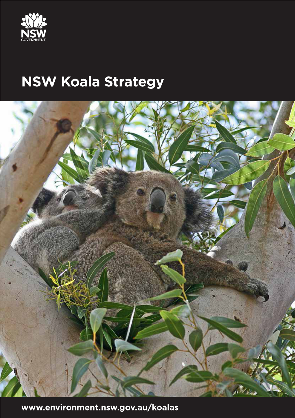 NSW Koala Strategy