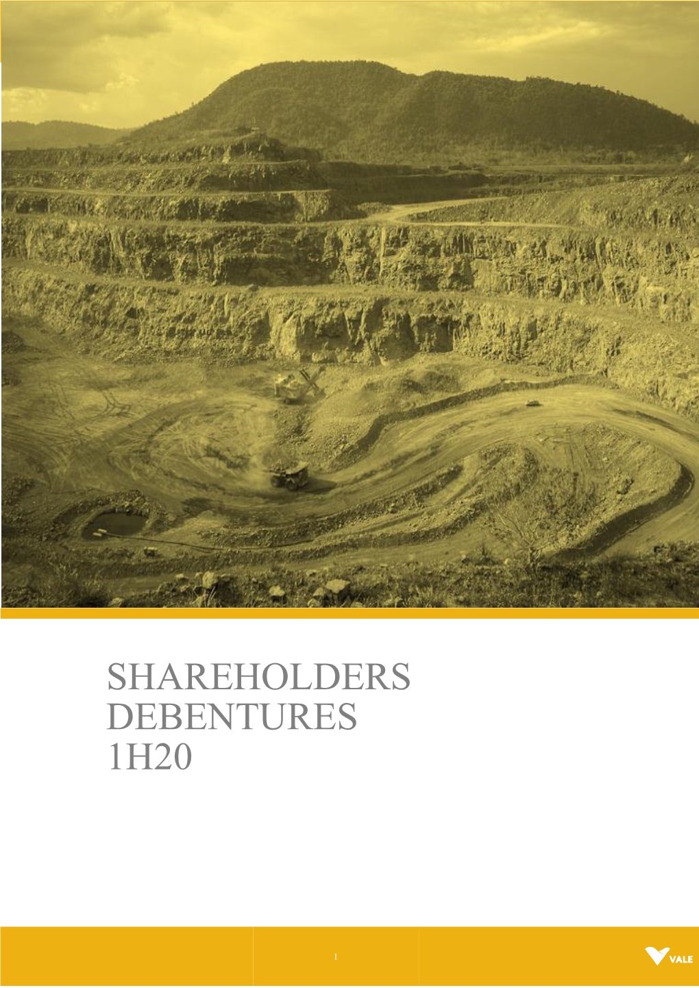 Shareholders Debentures Report 1H20