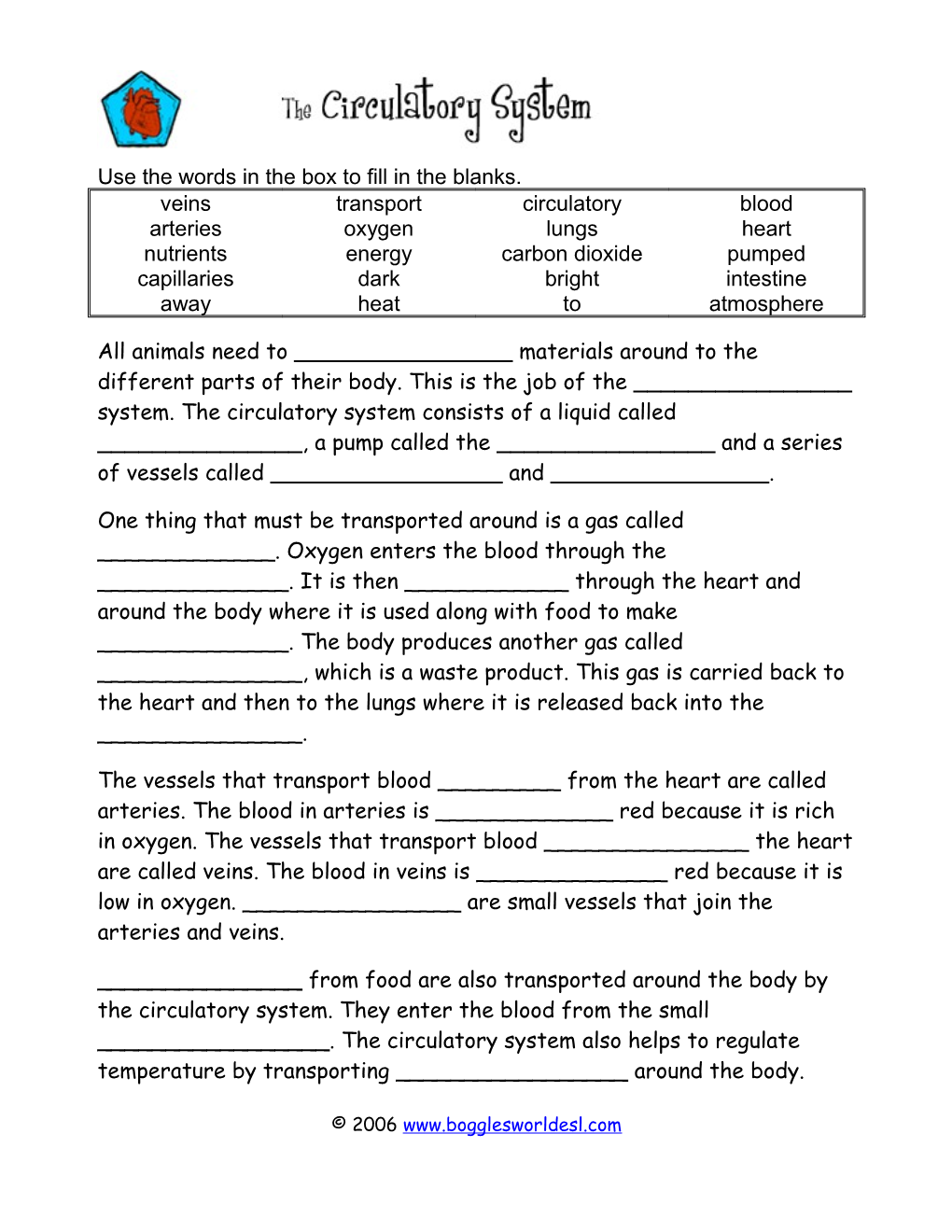 Circulatory System Cloze