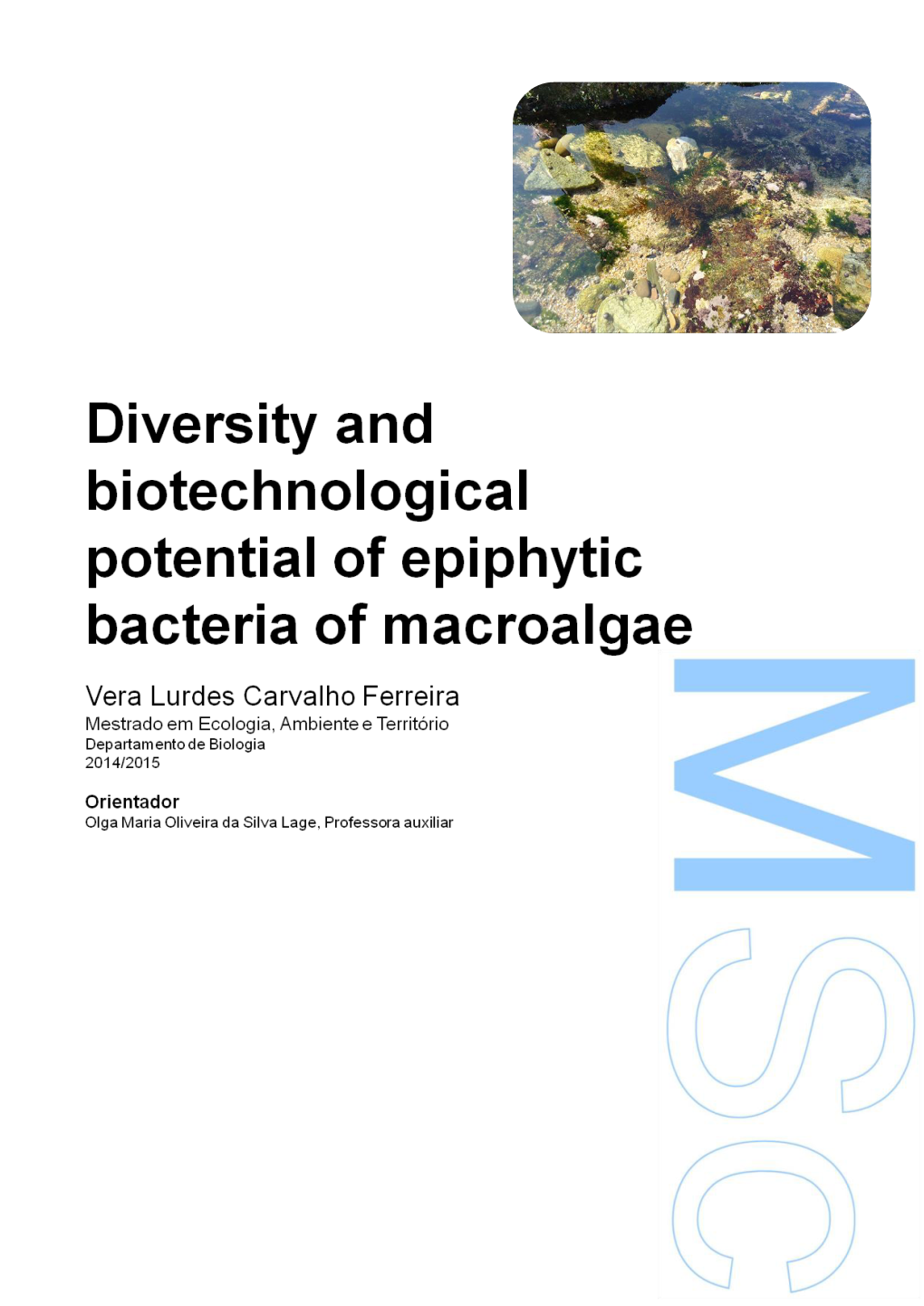 Diversity and Biotechnological Potential of Epiphytic Bacteria of Macroalgae