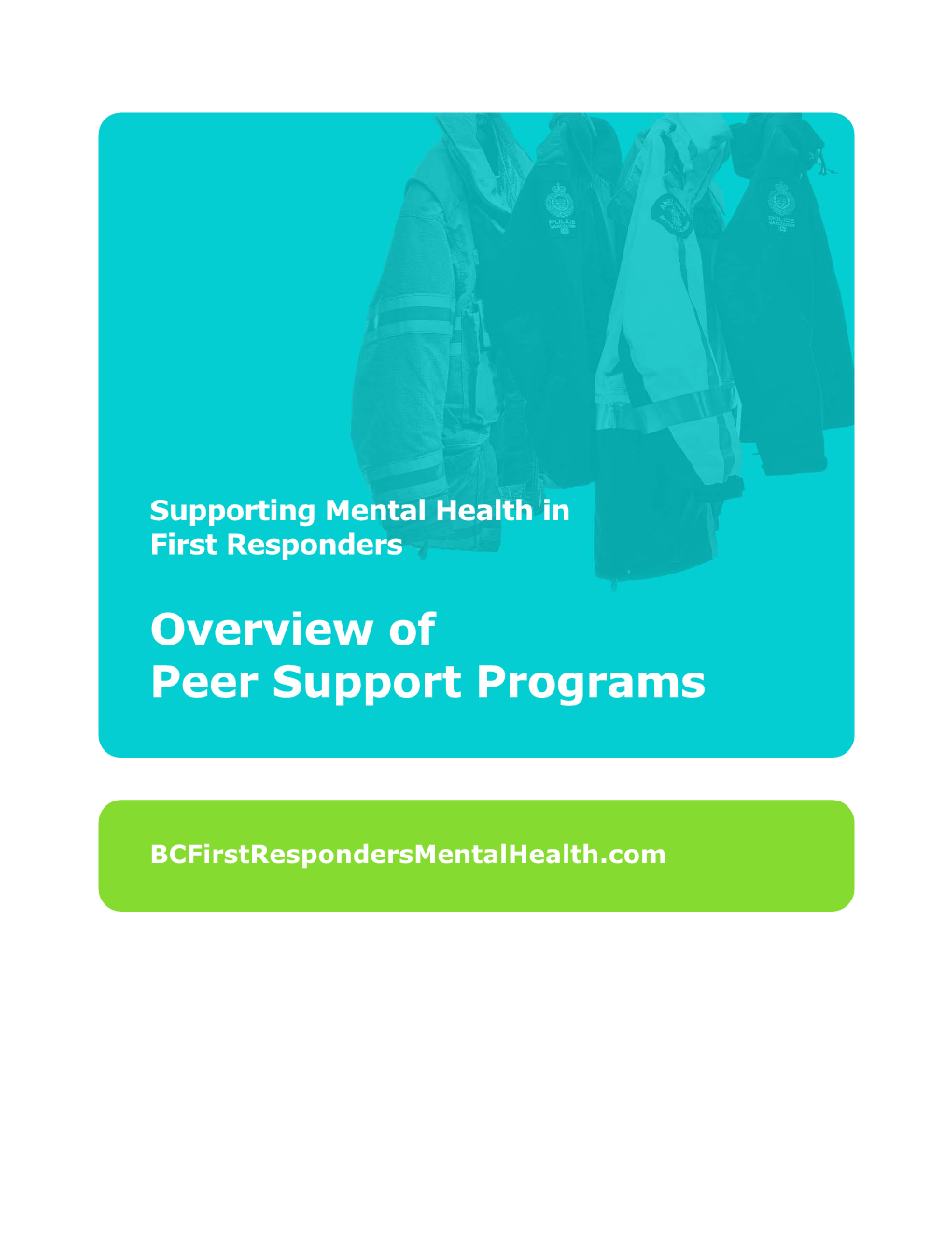 Overview of Peer Support Programs