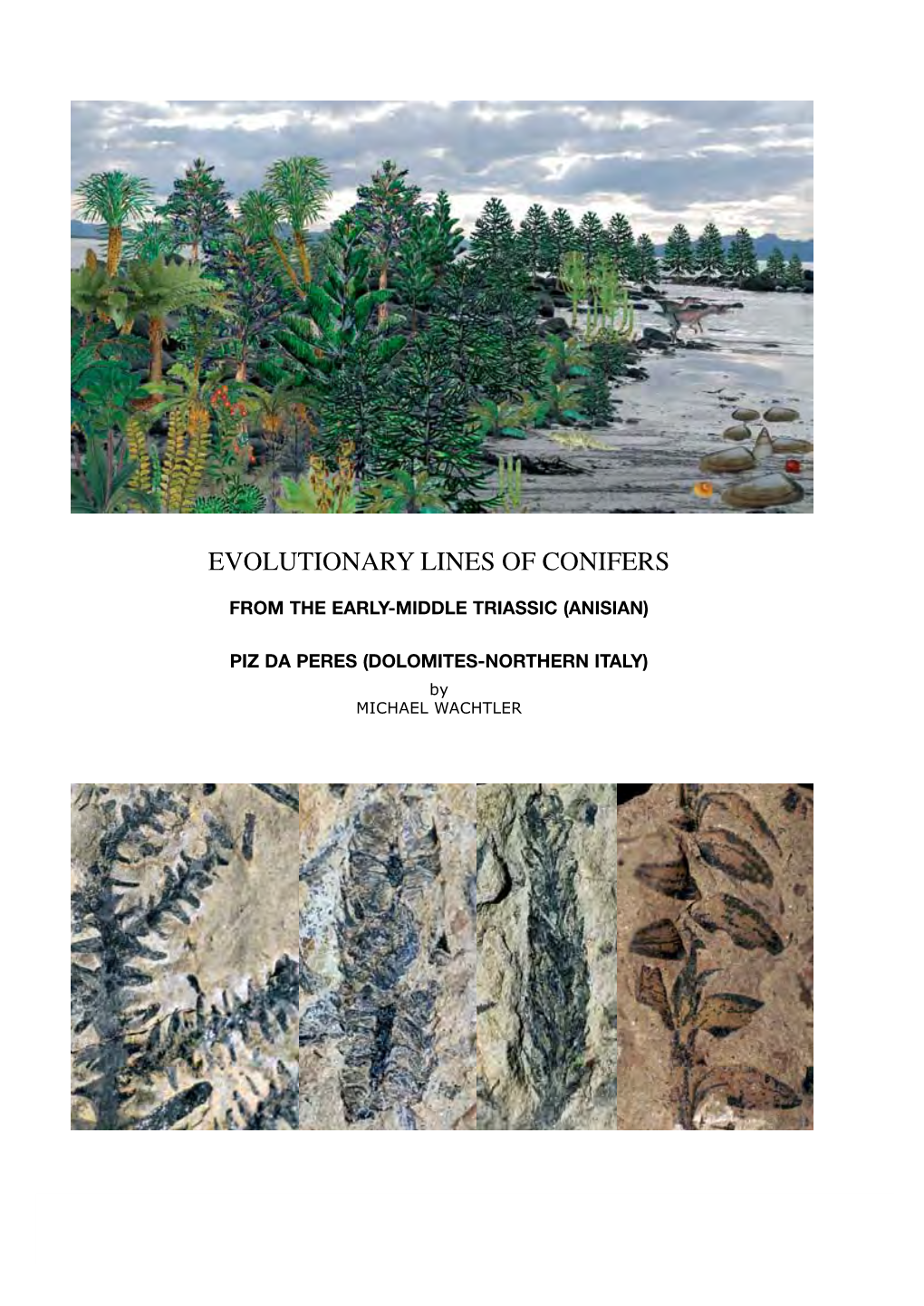 Evolutionary Lines of Conifers from the Early-Middle Triassic