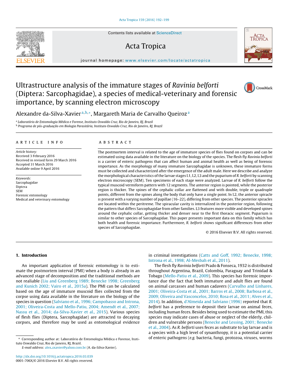 Ultrastructure Analysis of the Immature Stages of Ravinia Belforti (Diptera