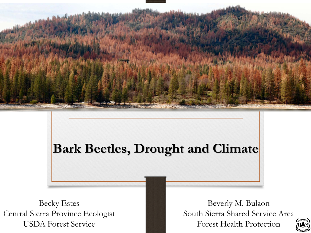 Bark Beetles, Drought and Climate