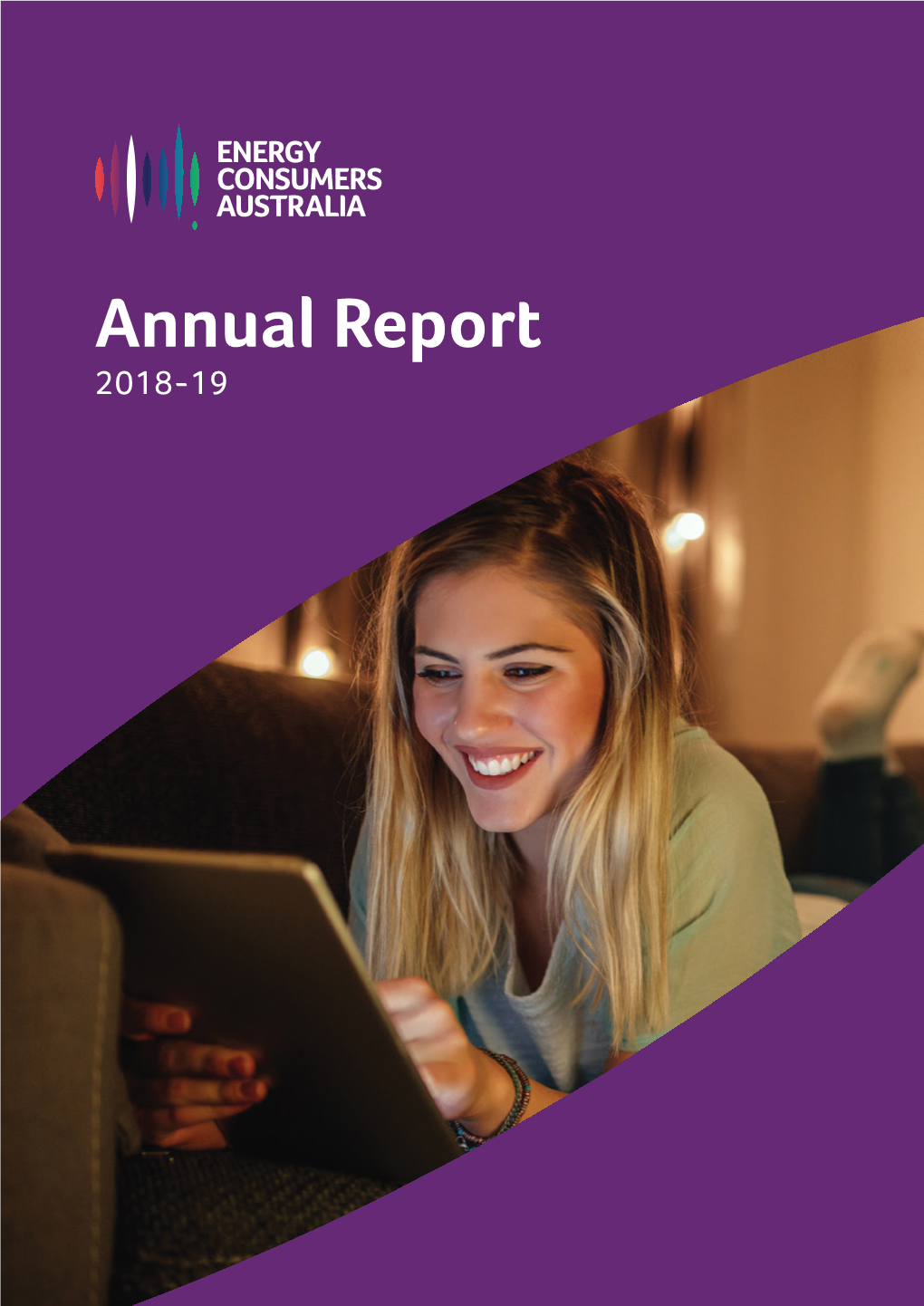 Energy Consumers Annual Report 2018-19