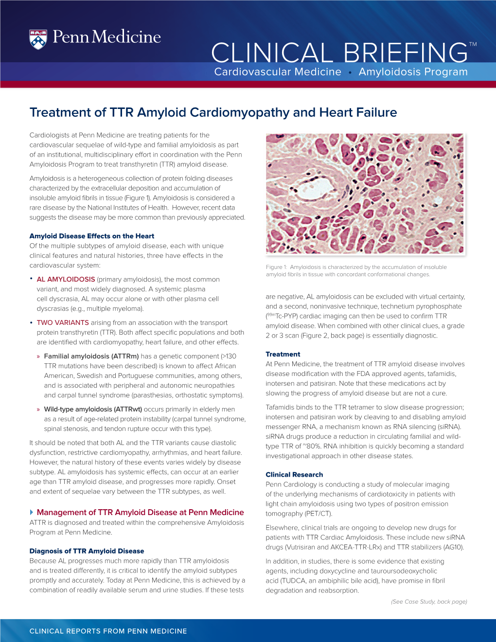 CLINICAL BRIEFINGTM Cardiovascular Medicine • Amyloidosis Program