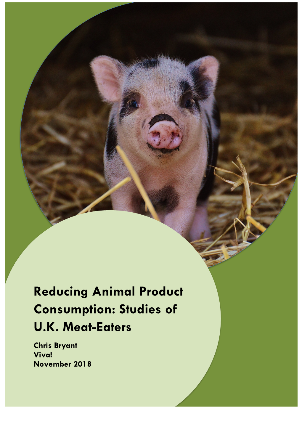 Reducing Animal Product Consumption: Studies of U.K. Meat-Eaters Chris Bryant Viva! November 2018