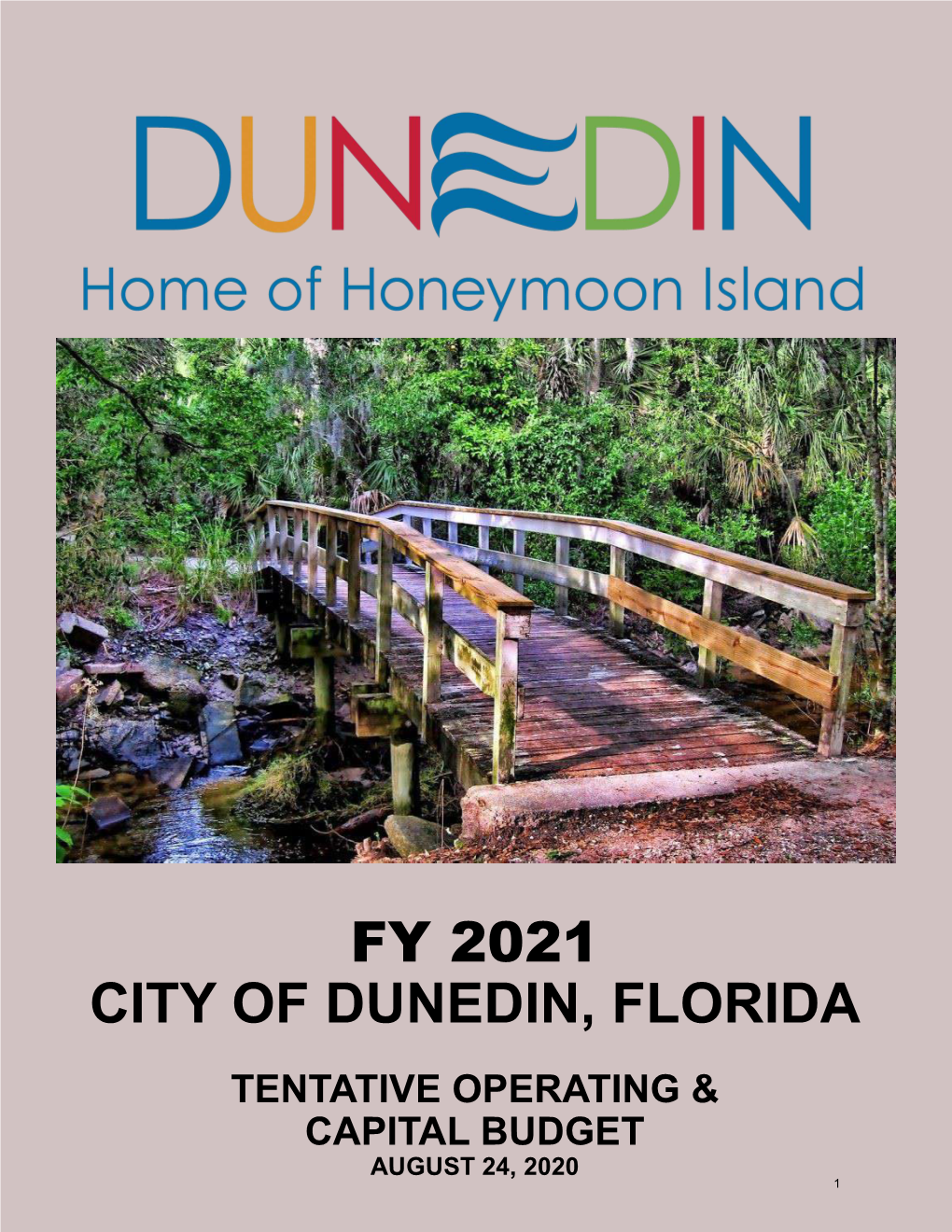 Fy 2021 City of Dunedin, Florida