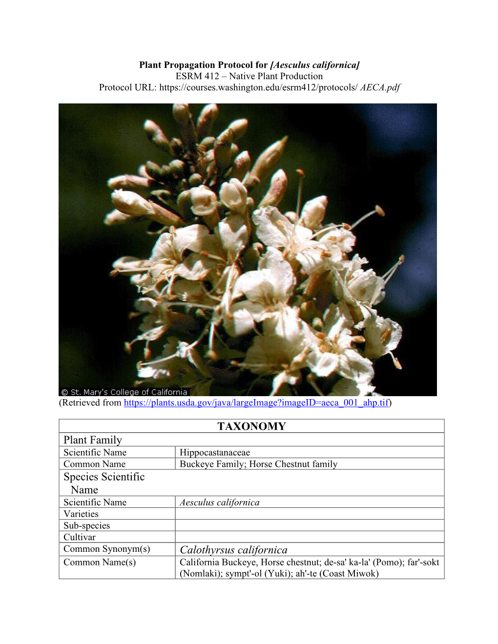 Draft Plant Propagation Protocol