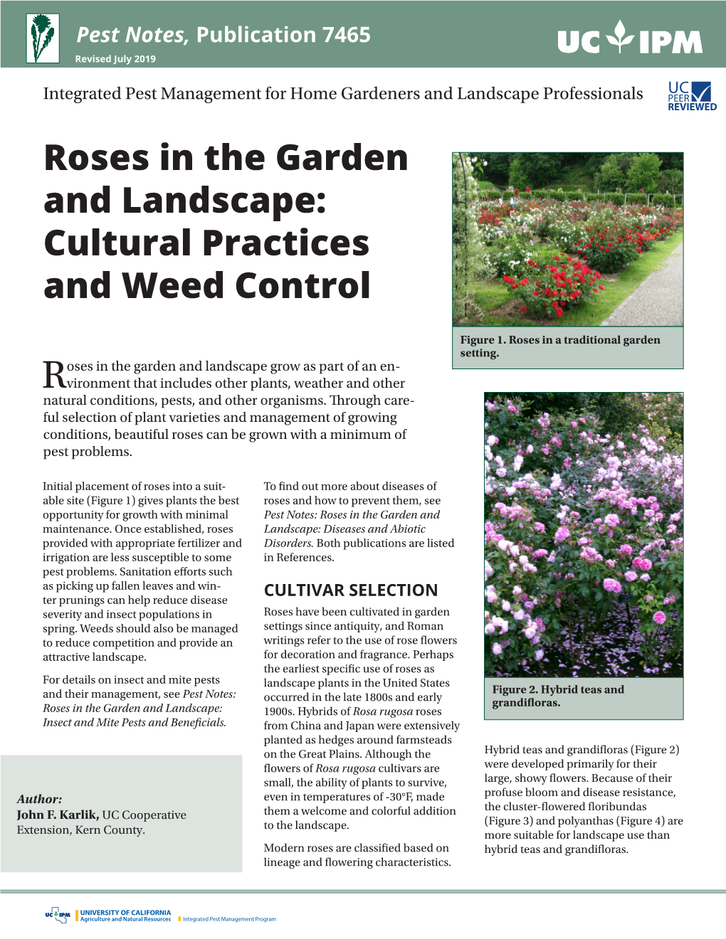 Roses in the Garden and Landscape: Cultural Practices and Weed Control
