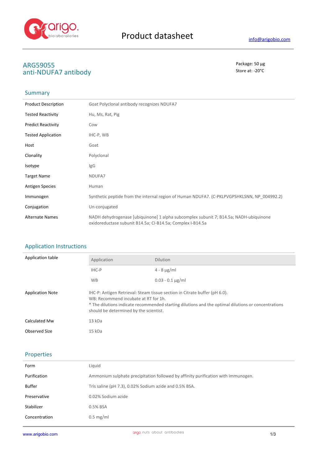 Anti-NDUFA7 Antibody (ARG59055)