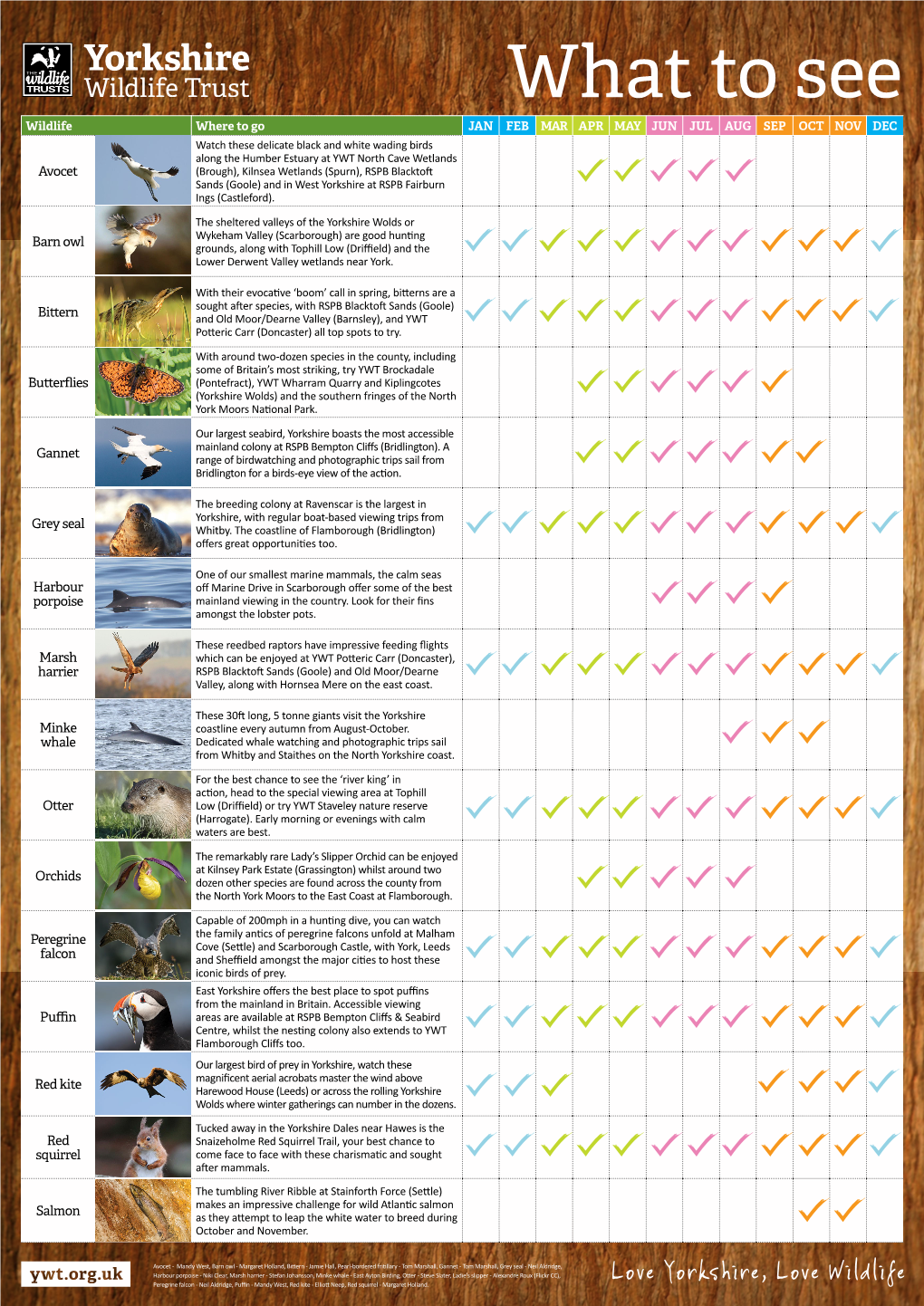 Wildlife Watching Calendar.Pdf