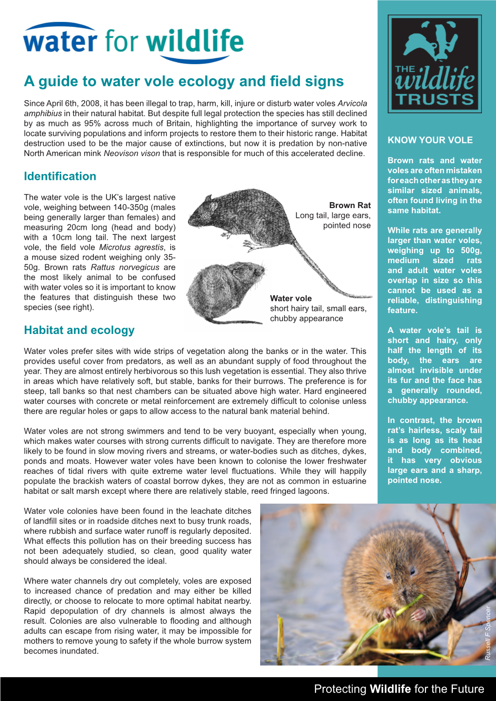 Guide to Water Vole Field Signs