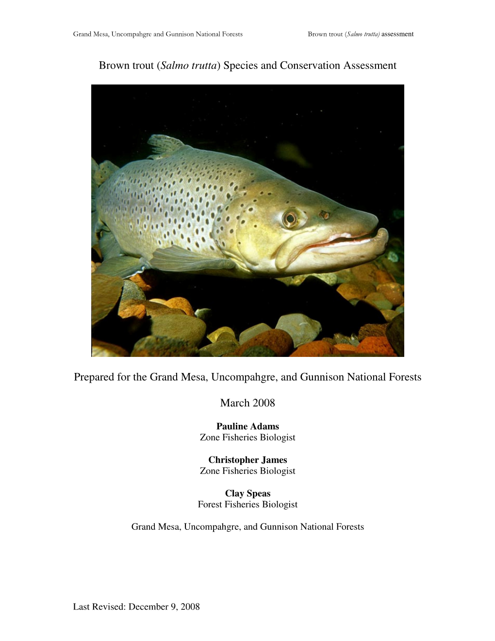 Brown Trout ( Salmo Trutta) Assessment