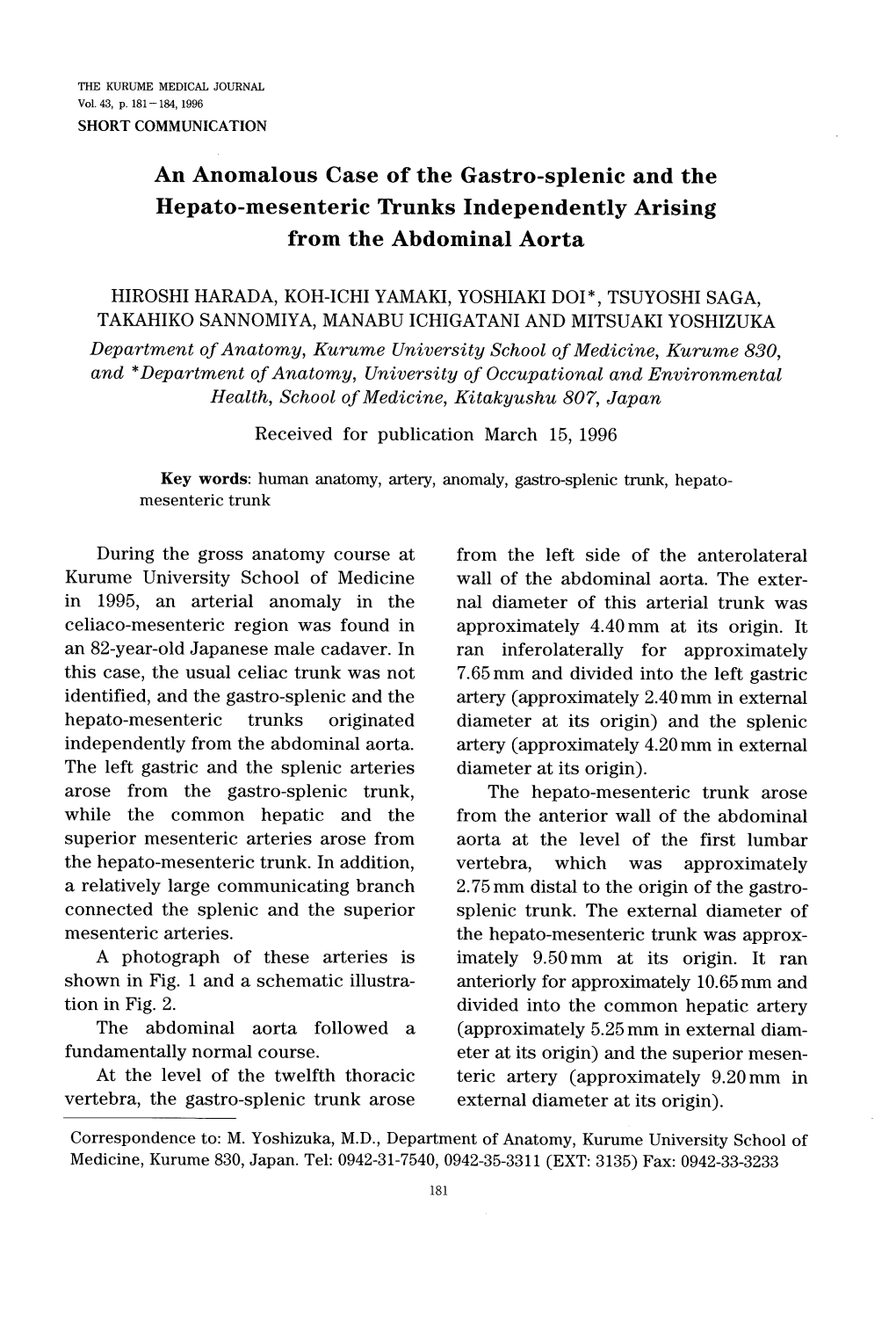 From the Left Side of the Anterolateral Wall of the Abdominal Aorta. The