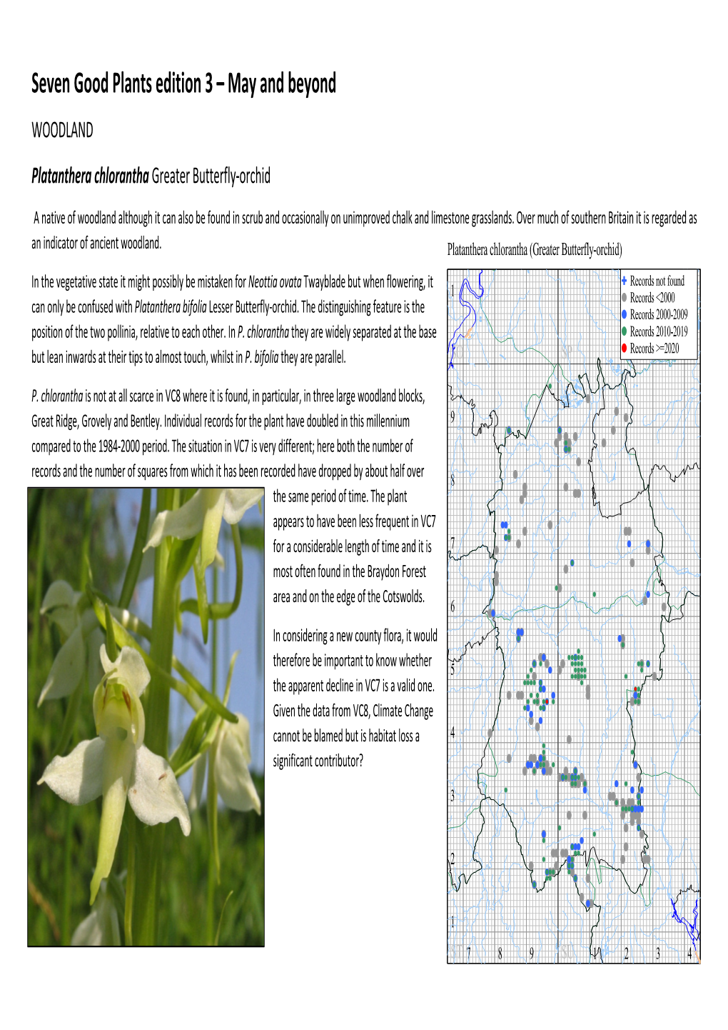 Seven Good Plants Edition 3 – May and Beyond WOODLAND Platanthera Chlorantha Greater Butterfly-Orchid