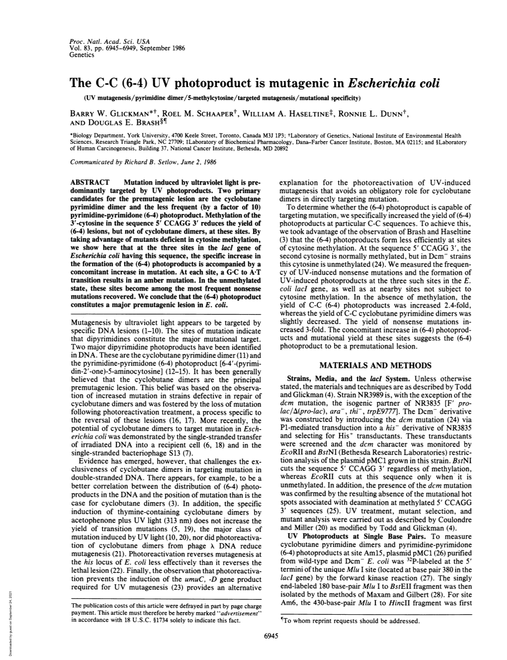 The C-C (6-4) UV Photoproduct Is Mutagenic in Escherichia Coli (UV Mutagenesis/Pyrimidine Dimer/5-Methylcytosine/Targeted Mutagenesis/Mutational Specificity) BARRY W