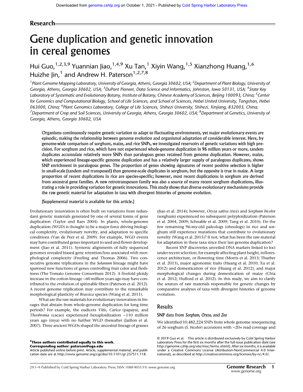 Gene Duplication and Genetic Innovation in Cereal Genomes