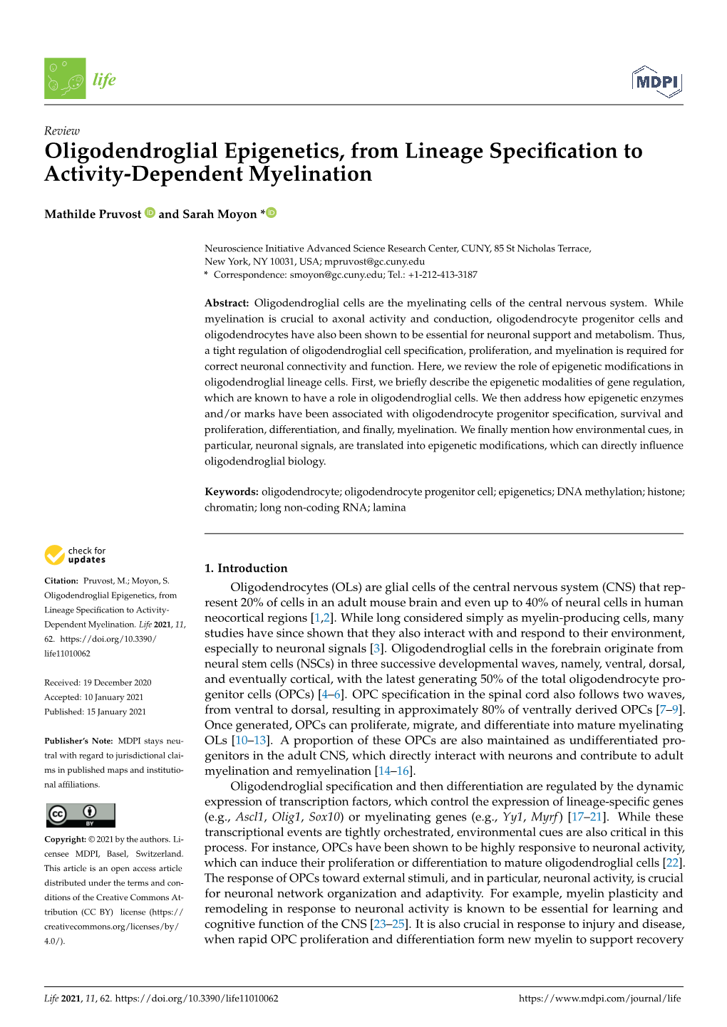 Oligodendroglial Epigenetics, from Lineage Specification to Activity