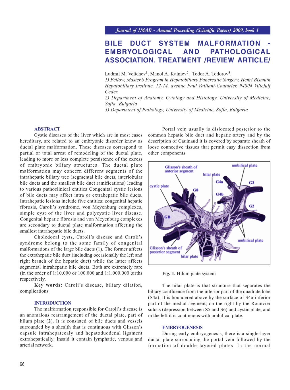 Bile Duct System Malformation - Embryological and Pathological Association