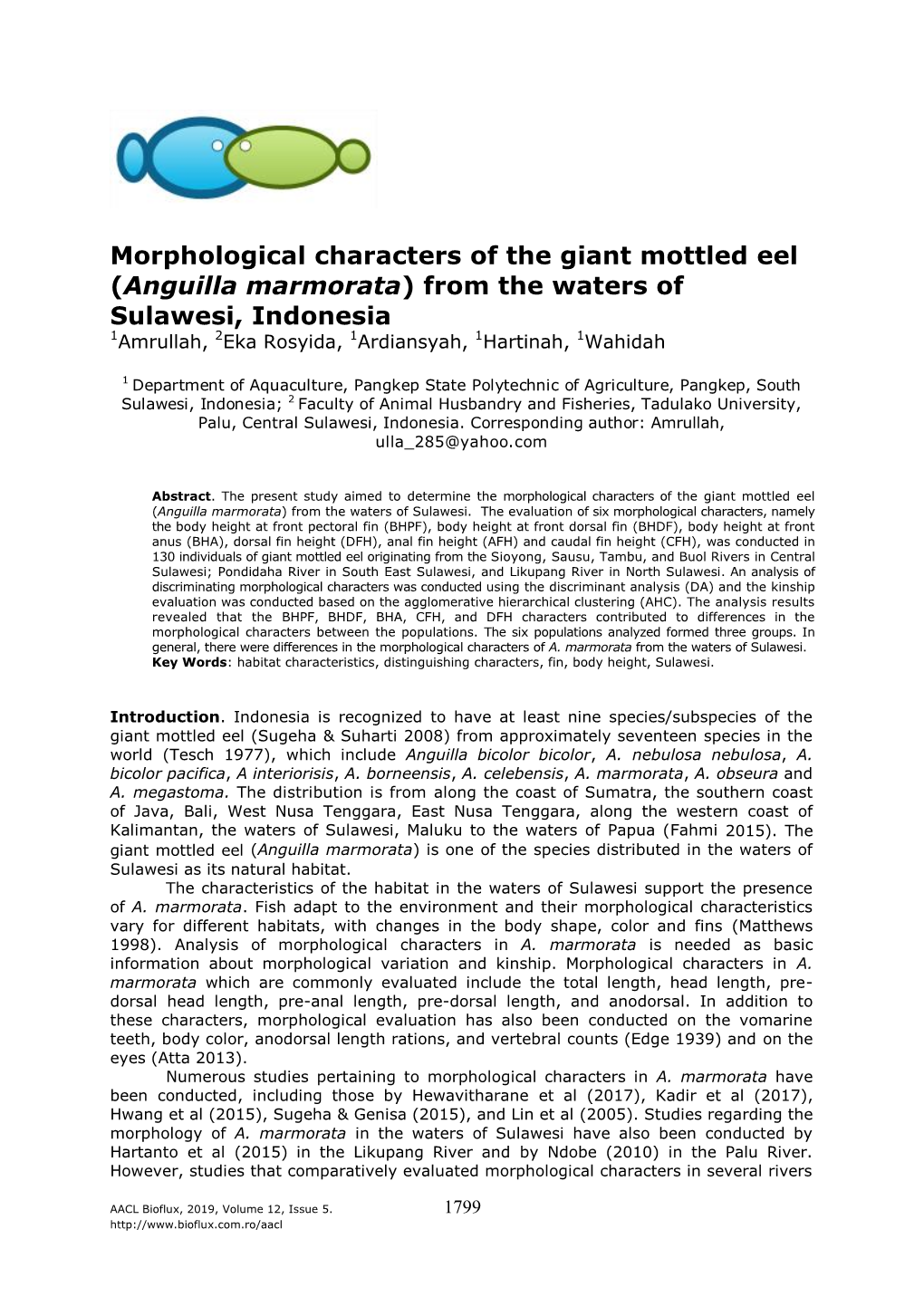 Morphological Characters of the Giant Mottled Eel (Anguilla Marmorata