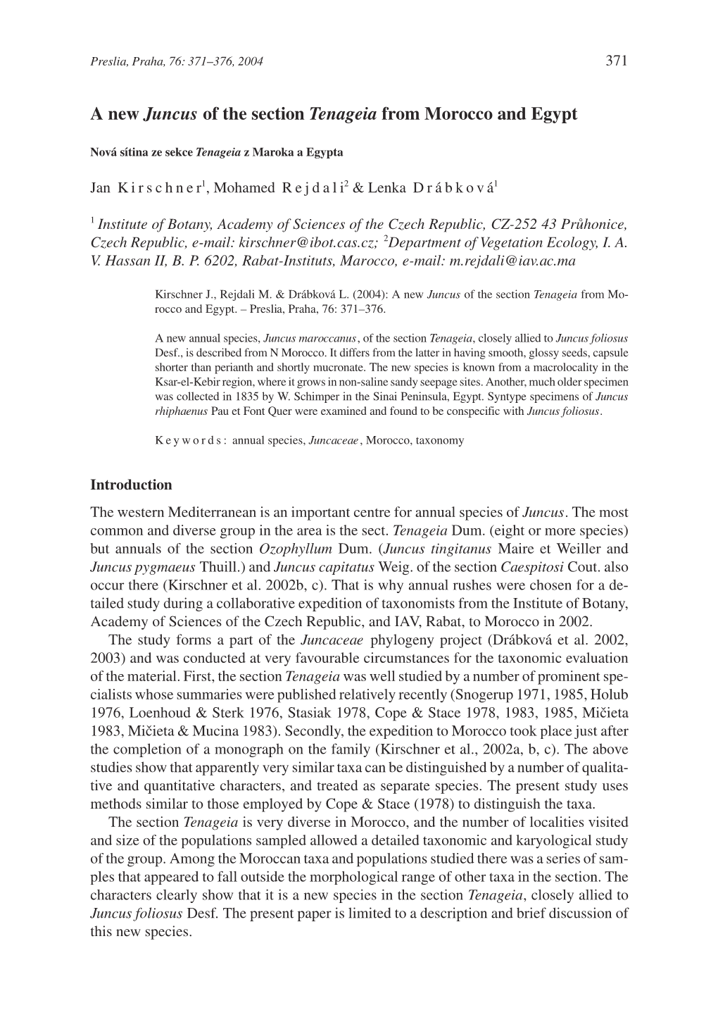 A New Juncus of the Section Tenageia from Morocco and Egypt