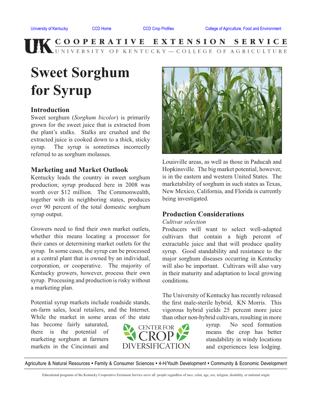 CCD Sweet Sorghum for Syrup Profile